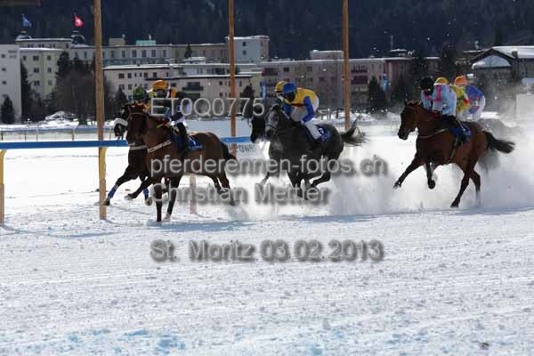 ET0Q0775 prot